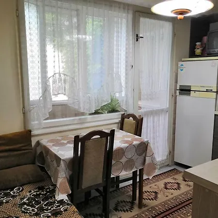 Apartment Ivanovi Burgas アパート